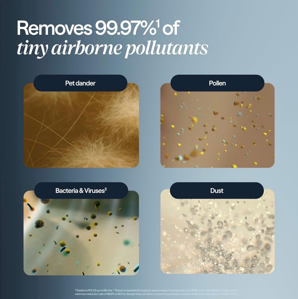 Small Room Air Purifier