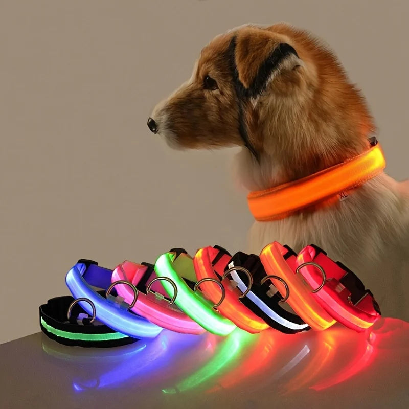 LED Night Safety Flashing Pet  Collar