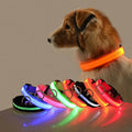 LED Night Safety Flashing Pet  Collar