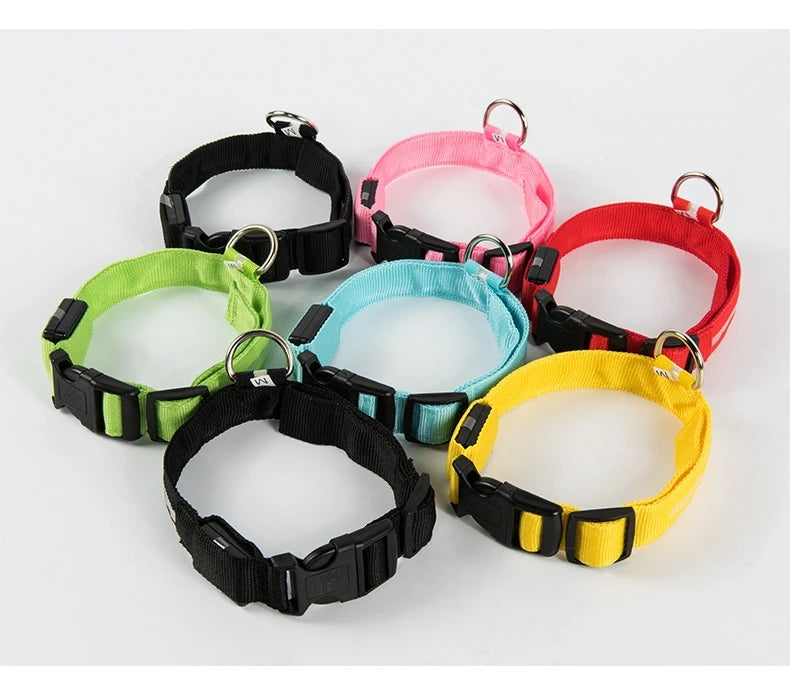 LED Night Safety Flashing Pet  Collar