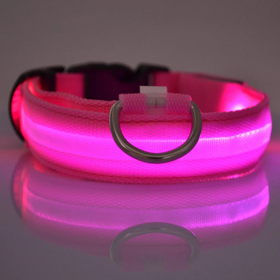 LED Night Safety Flashing Pet  Collar