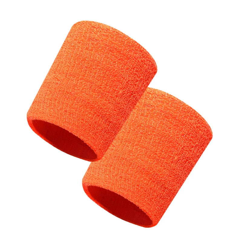 Fitness Wristband