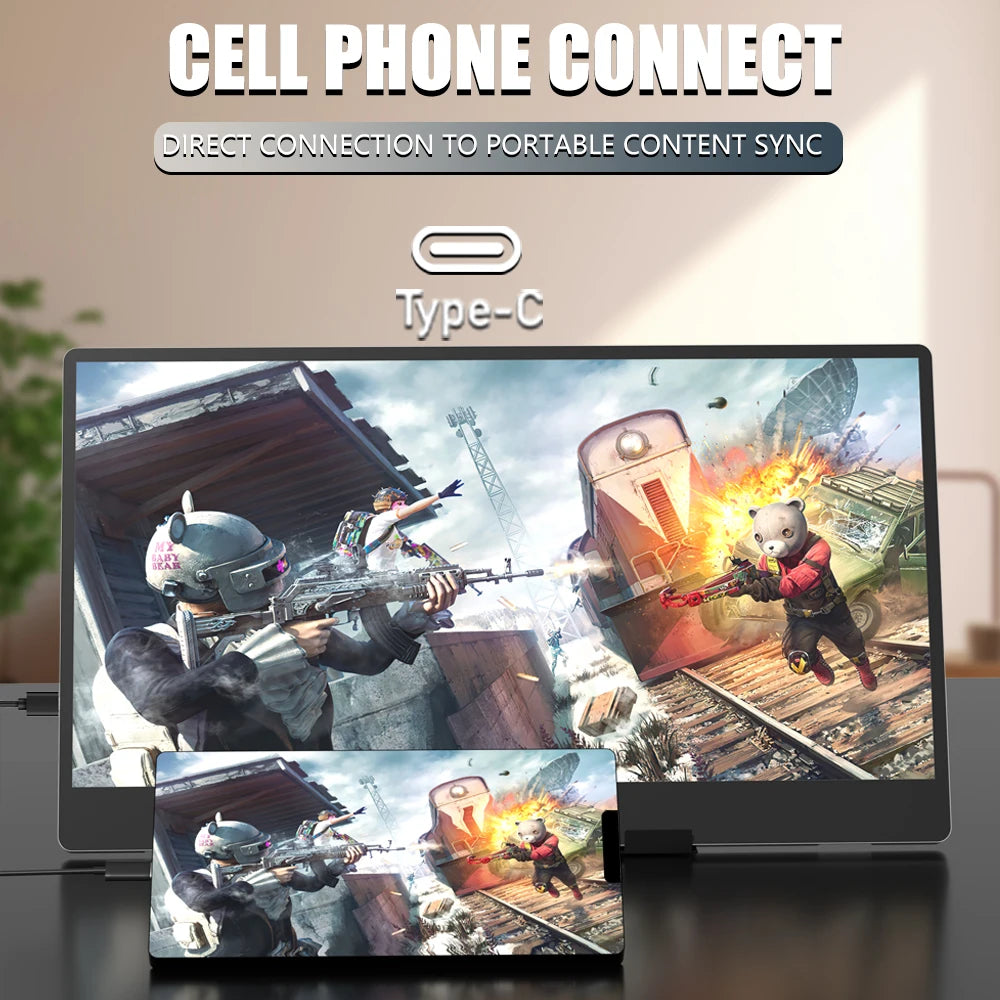 Portable Monitor Display